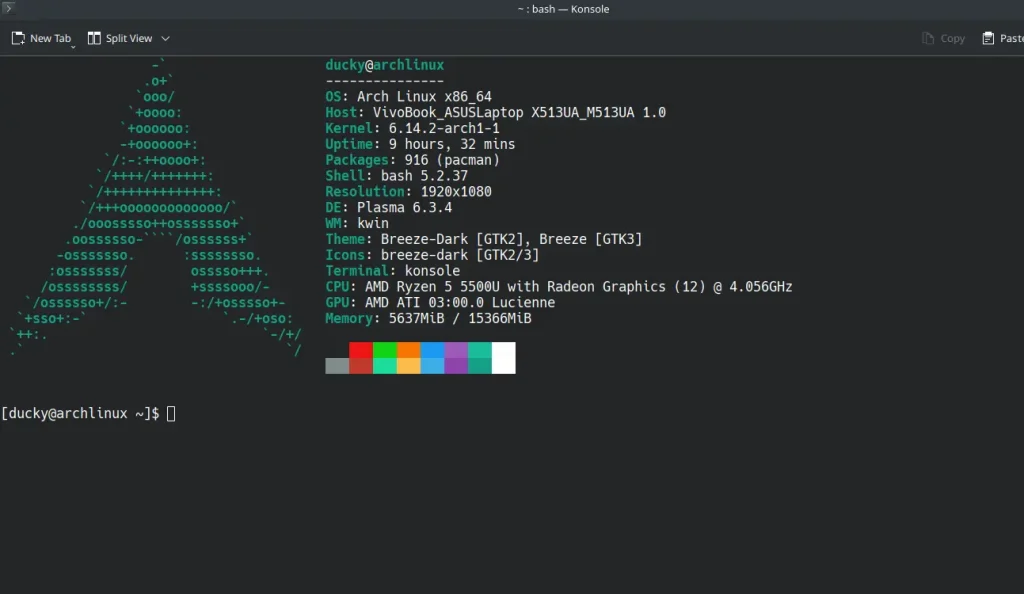 Arch Linux terminal customization with neofetch or fastfetch