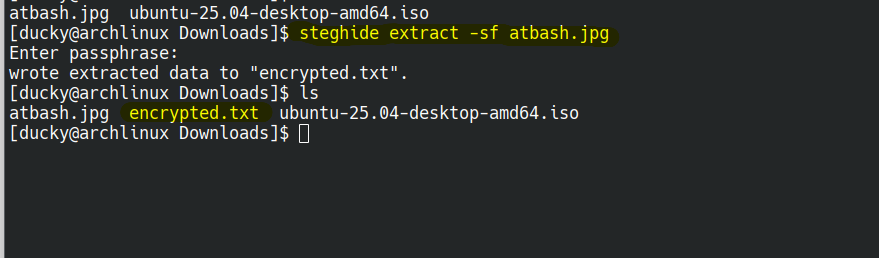 steghide extract hidden data