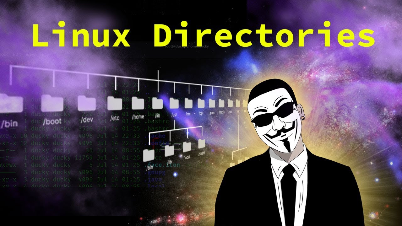 Explore Linux Directories for Ethical Hacking!